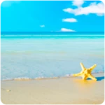 Logo of Beach Wallpapers android Application 